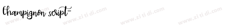 Champignon script字体转换